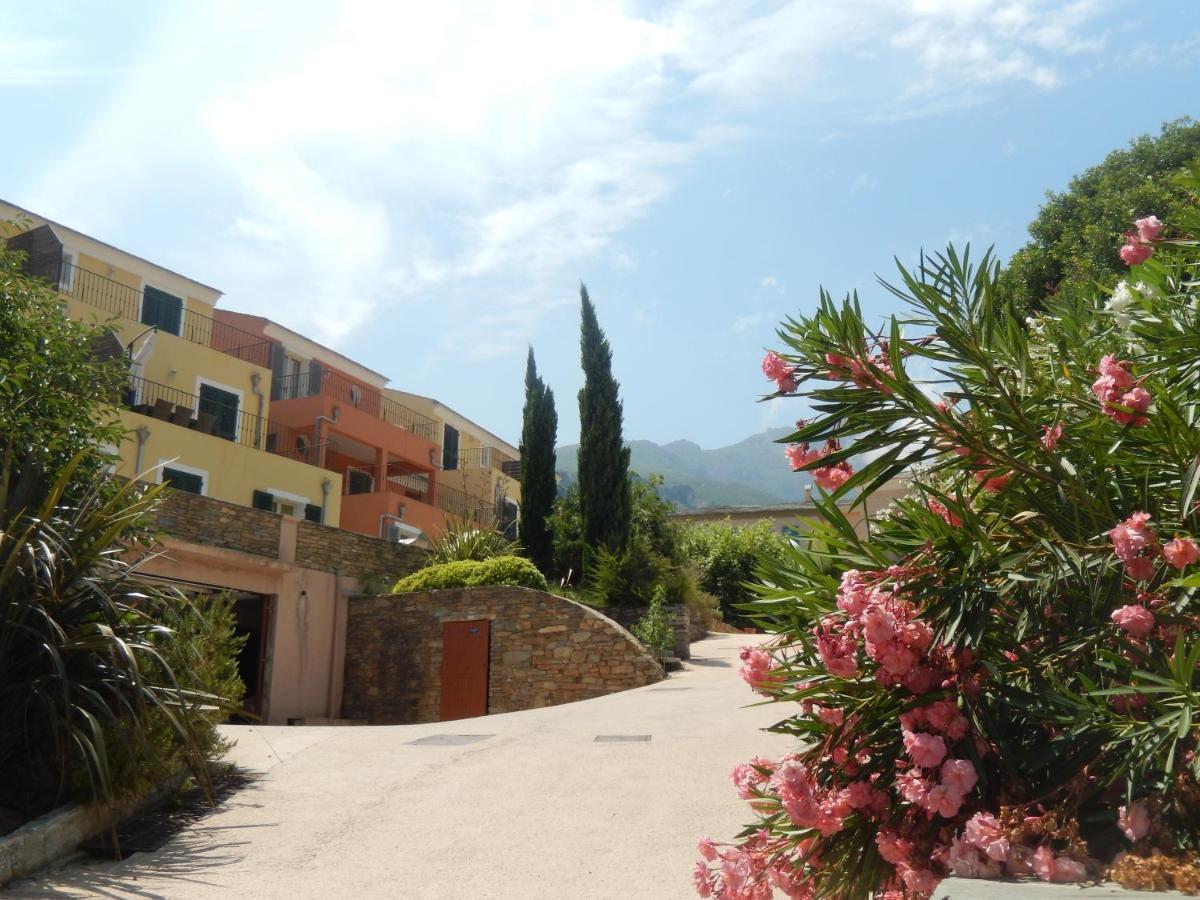 Erbalunga - Residence Les Bosquets - Cap Corse Location Brando Dış mekan fotoğraf