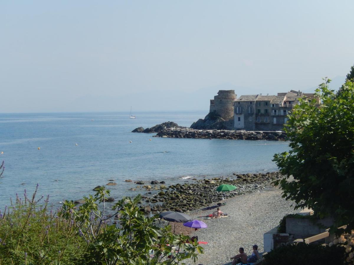 Erbalunga - Residence Les Bosquets - Cap Corse Location Brando Dış mekan fotoğraf